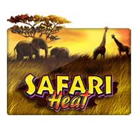 SAFARI HEAL